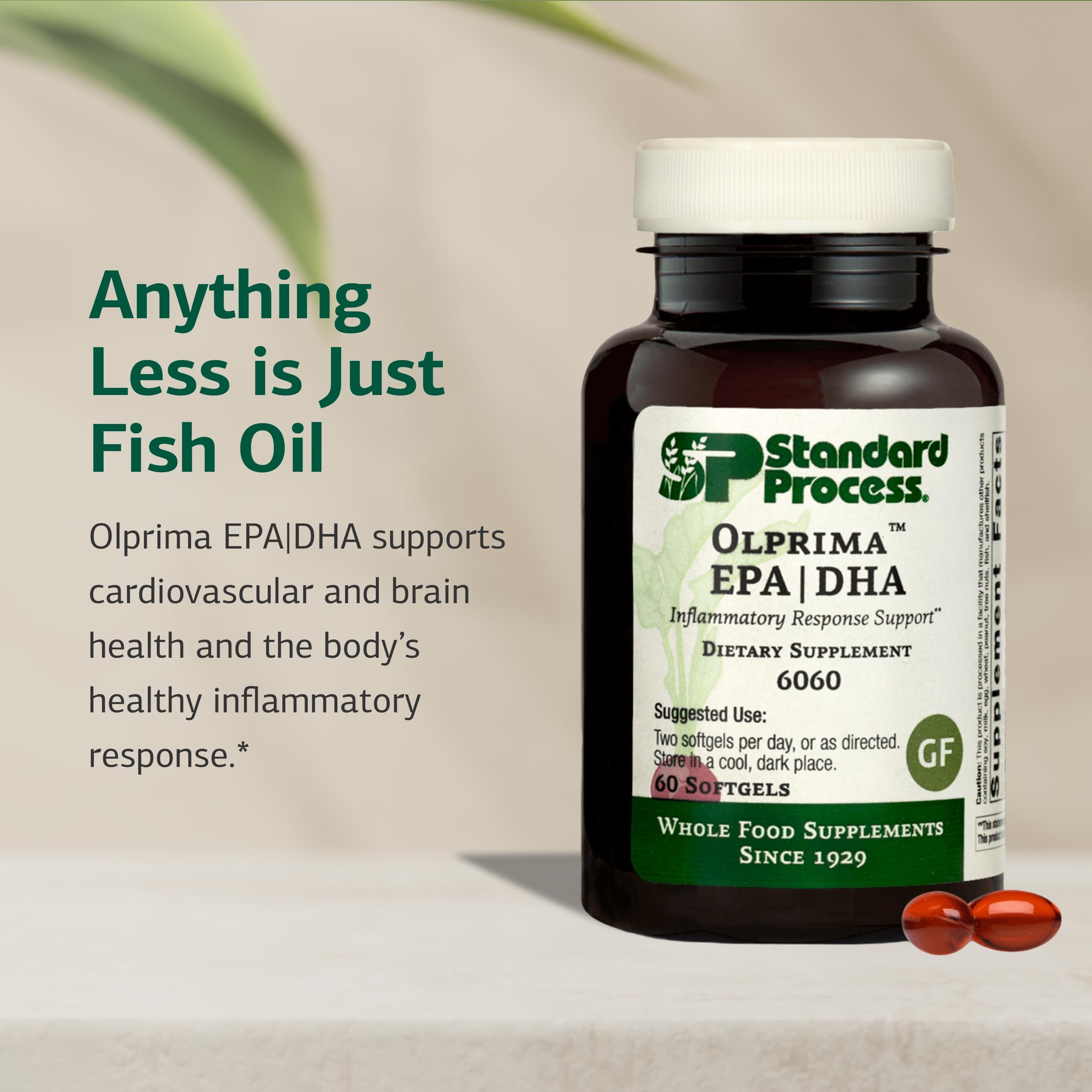 Standard Process Olprima EPA|DHA softgels close-up highlights small capsules for easy daily use.