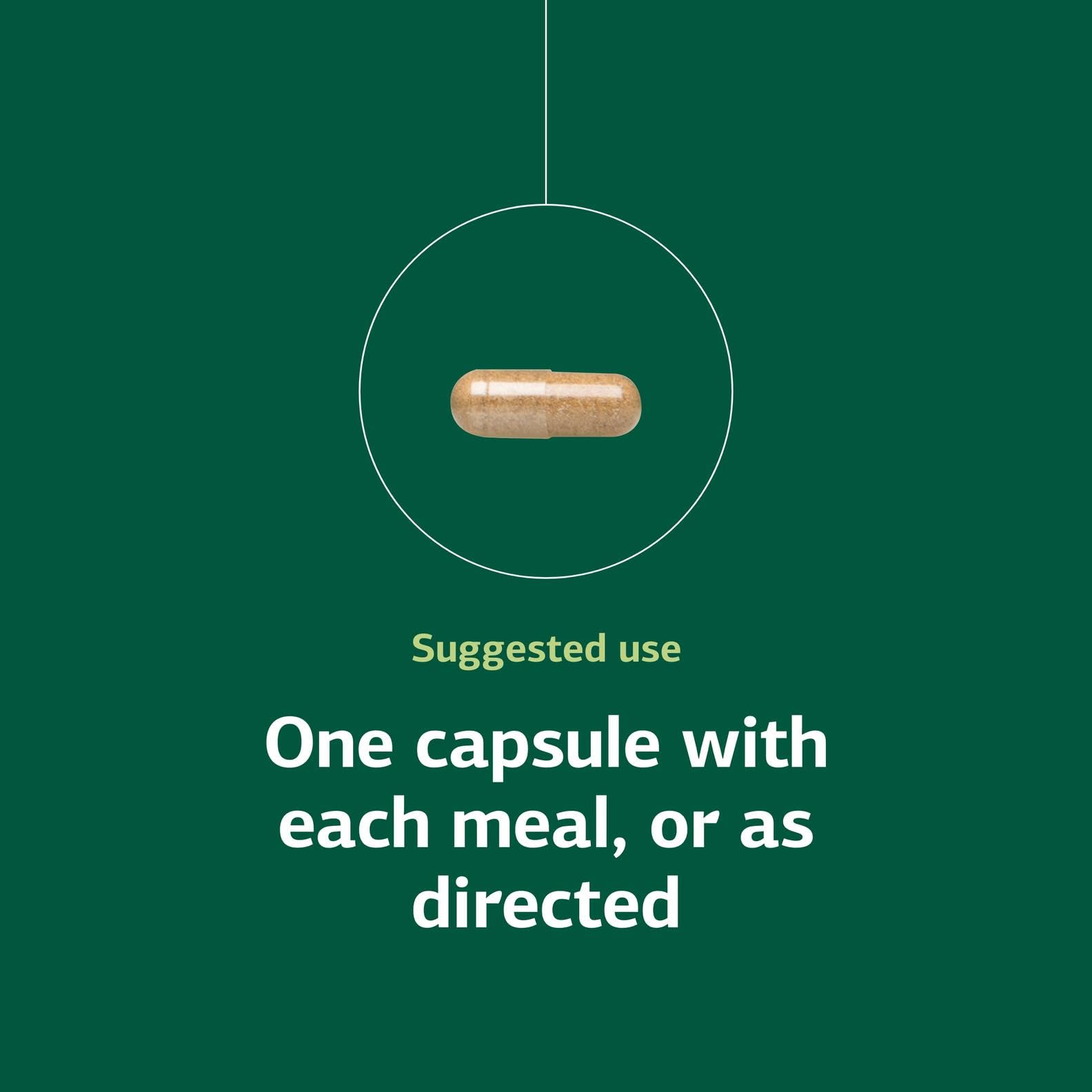 Standard Process Orchex bottle on wood highlights trusted nutrition branding