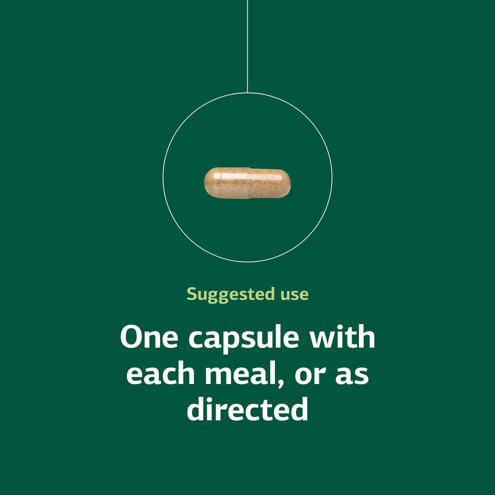 Standard Process Orchex bottle on wood highlights trusted nutrition branding