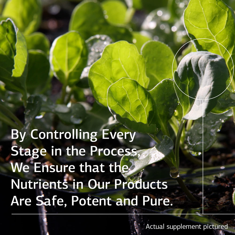 Prost-X bottle and label illustrate quality standards from Standard Process.