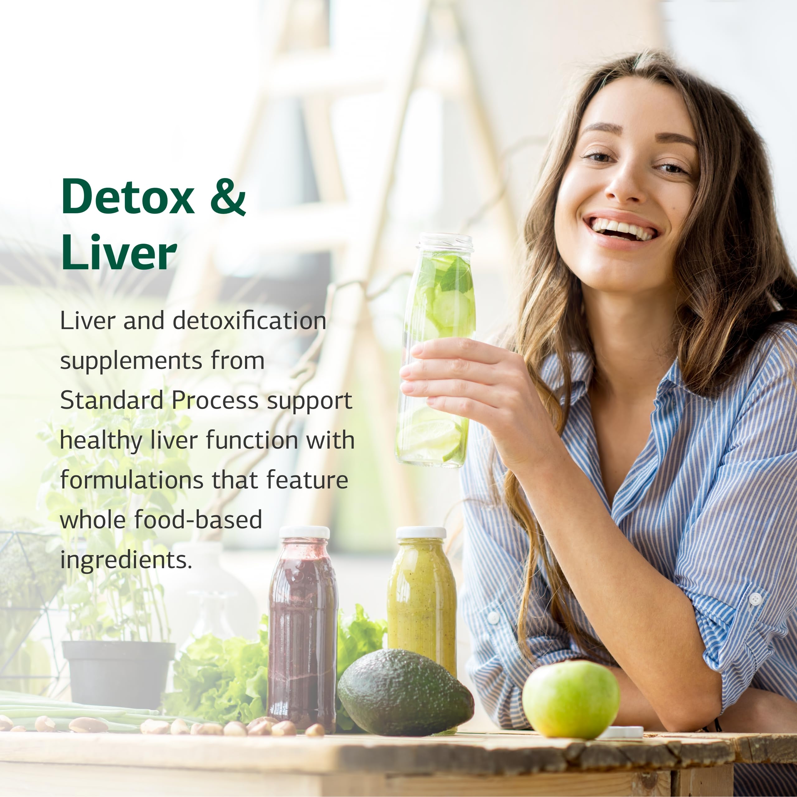 Standard Process purification program guide booklet opened for user-friendly detox planning.