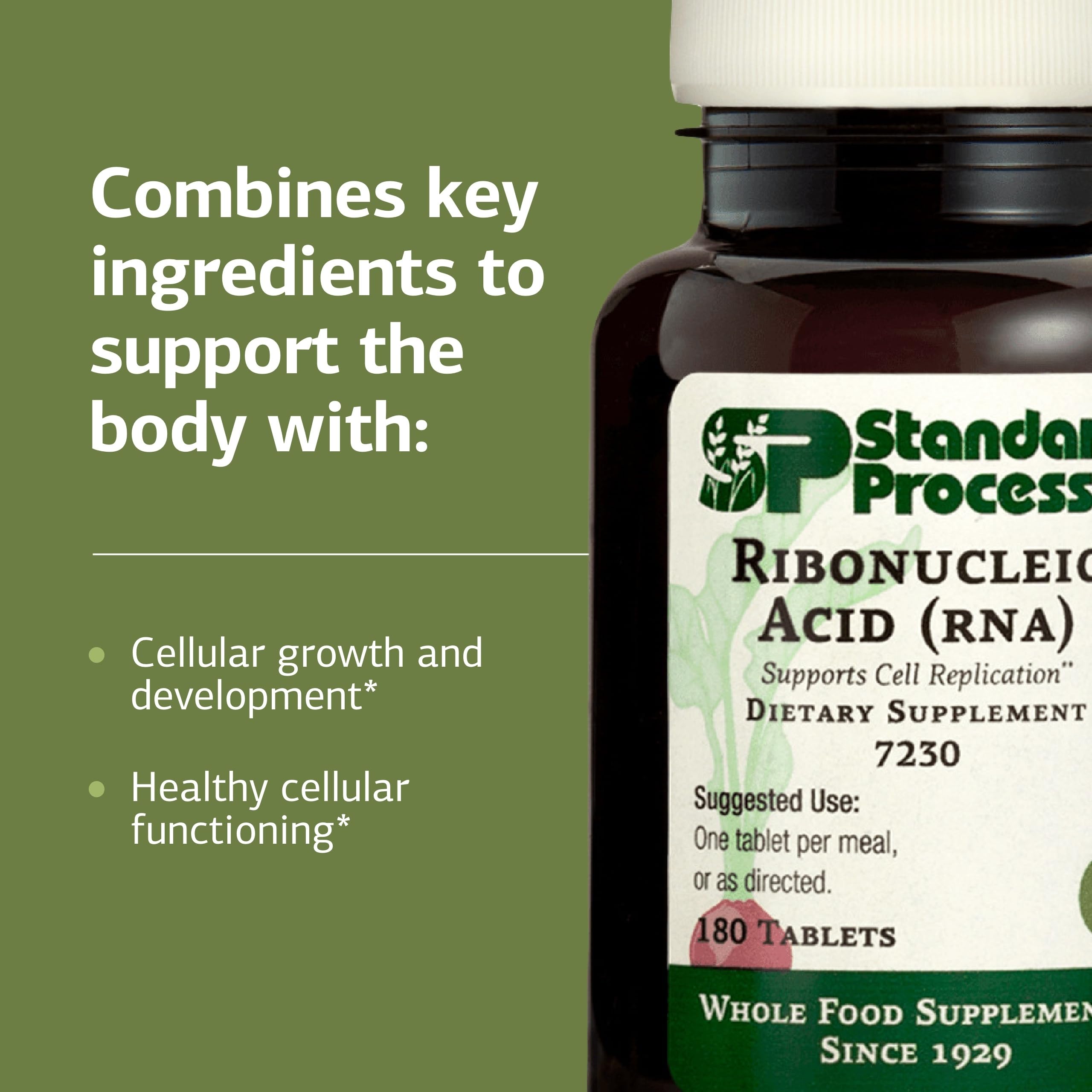 Standard Process RNA bottle on white background suggesting premium whole-food formulation.