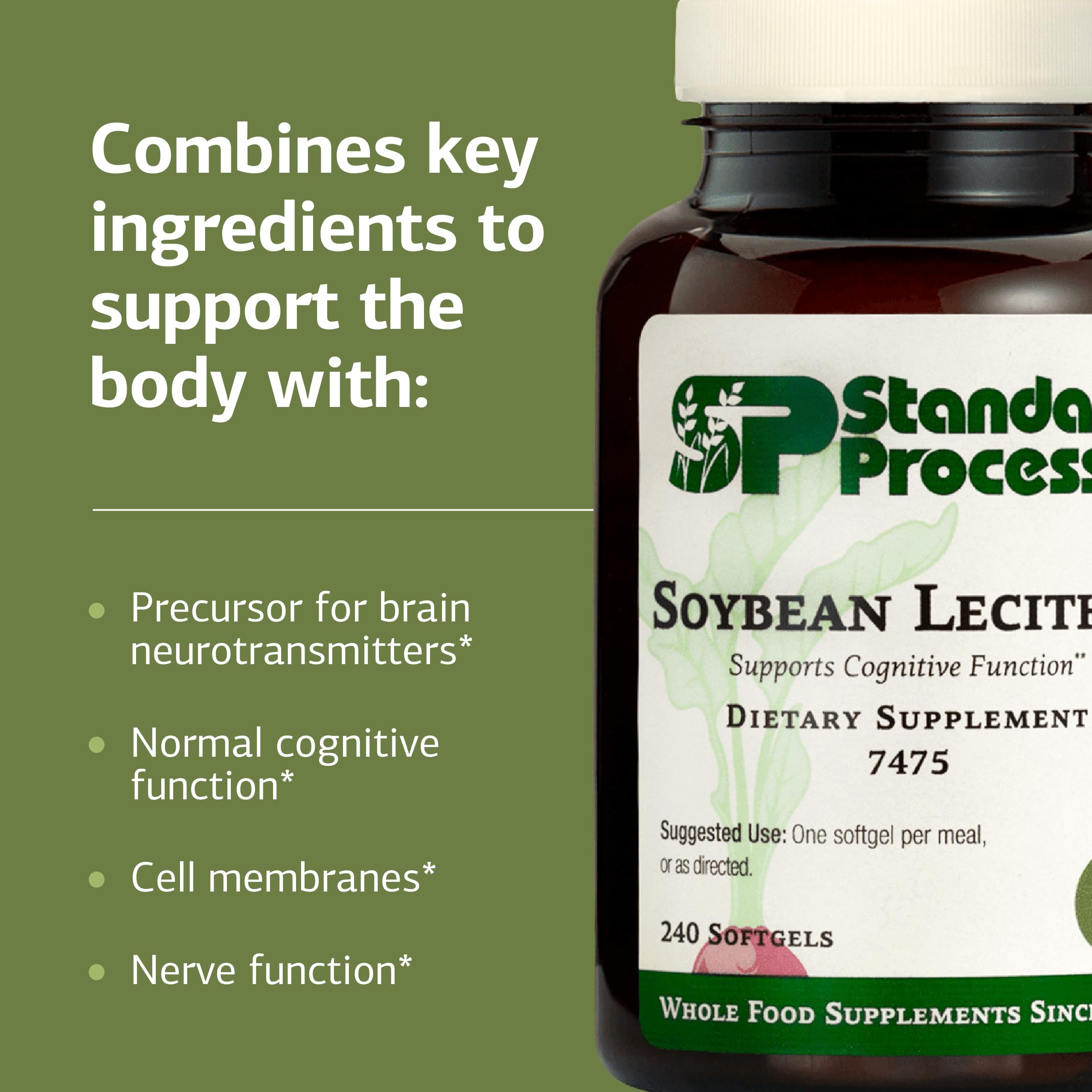 Standard Process Soybean Lecithin nutrition label highlights essential fatty acids and serving size.