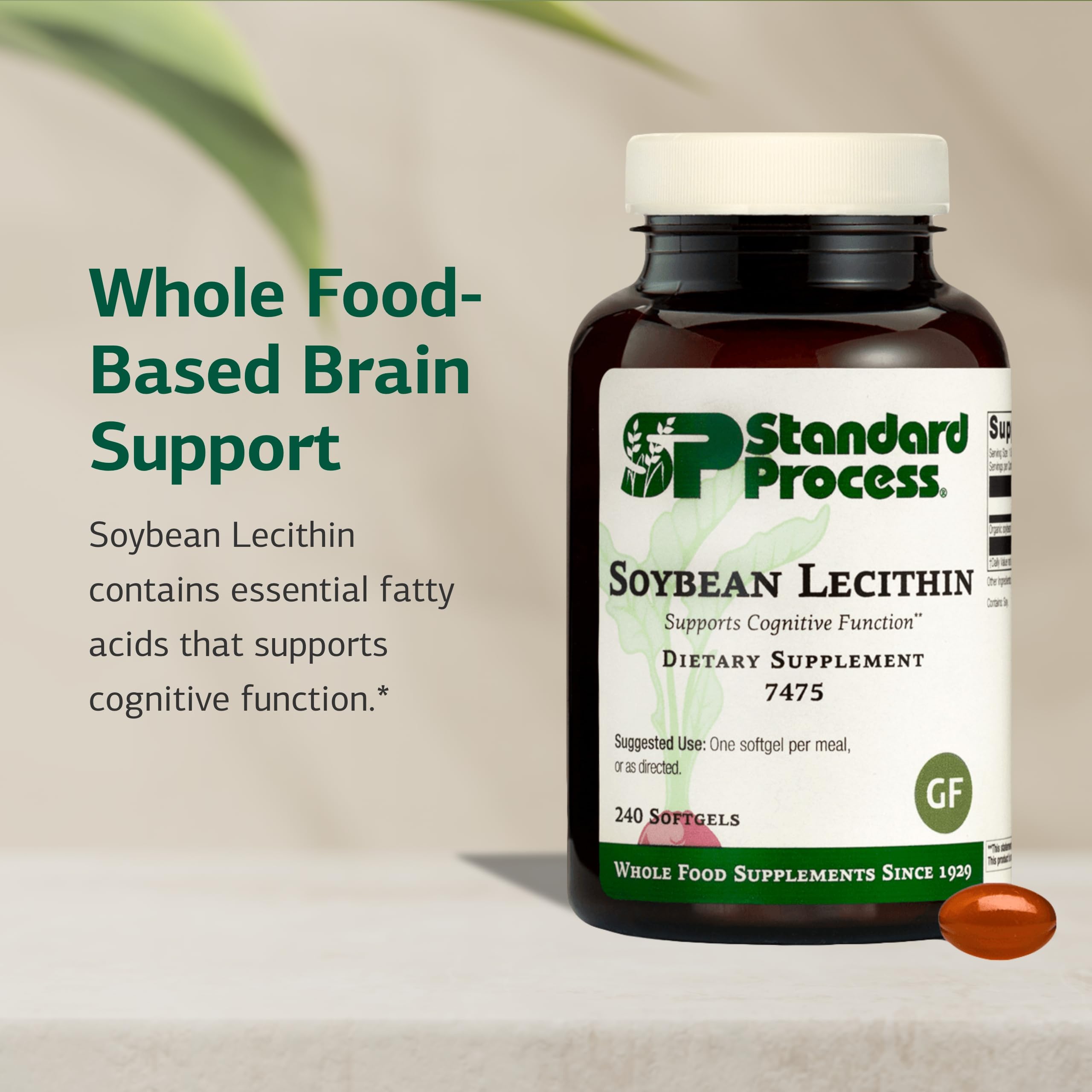 Standard Process Soybean Lecithin softgels close-up emphasizes smooth texture for easy intake.