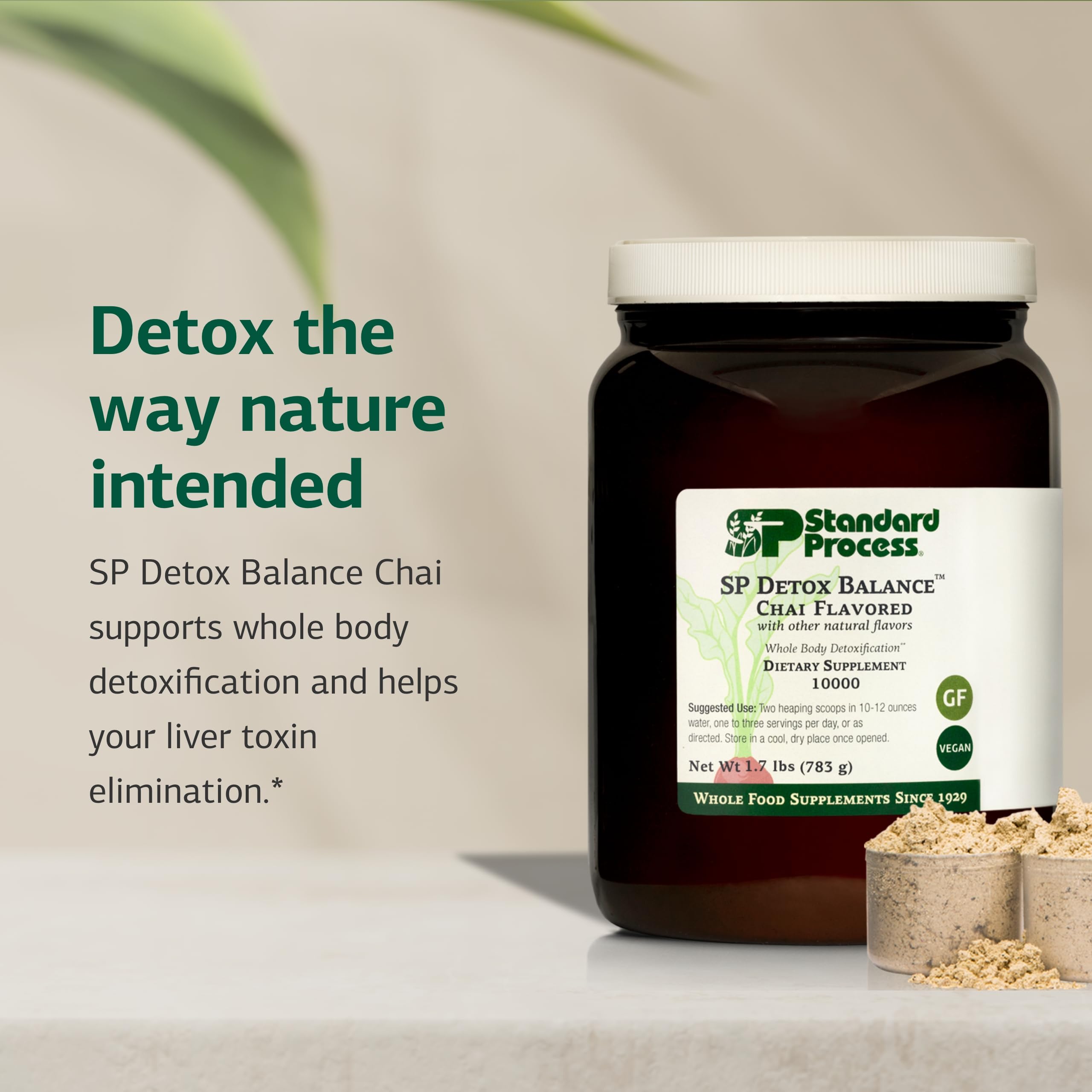Close-up of SP Detox Balance Chai powder texture for gluten-free dairy-free formula