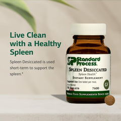 Front view of Standard Process Spleen Desiccated bottle for daily dietary supplement.