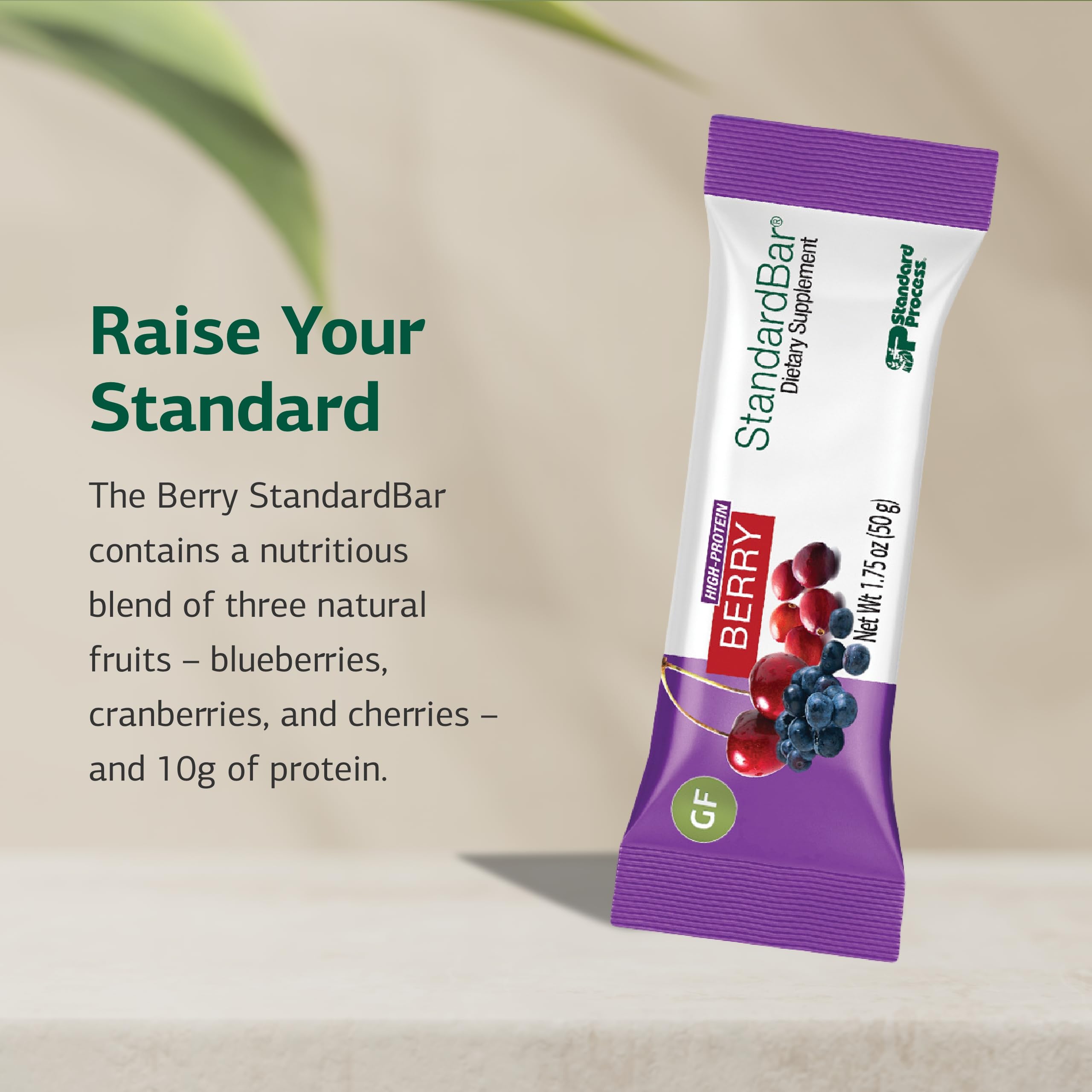 Standard Process StandardBar – Gluten-Free Vegetarian Protein Bar | 10 ...