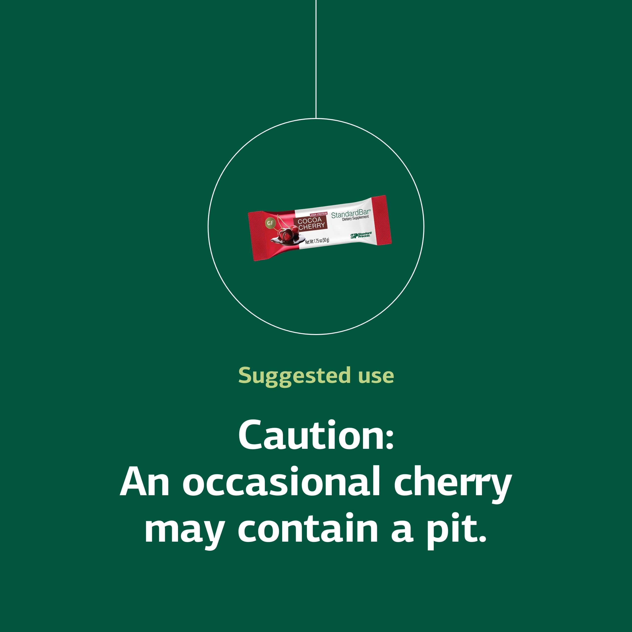 Standard Process StandardBar Cocoa Cherry texture, chewy, satisfying bite