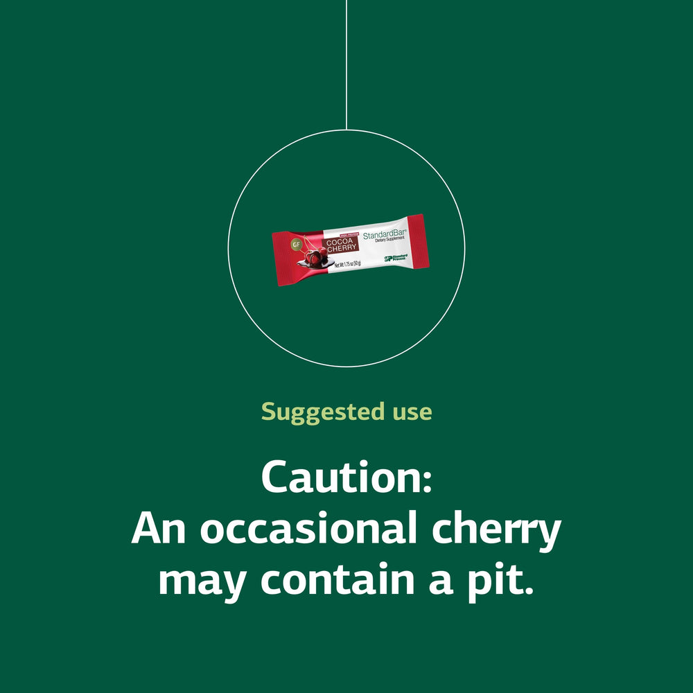 Standard Process StandardBar Cocoa Cherry texture, chewy, satisfying bite