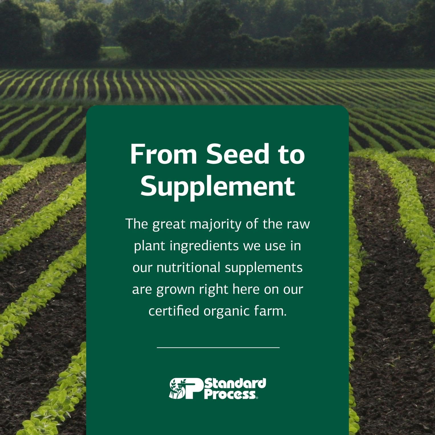 Standard Process Super-EFF bottle with glass imagery highlights convenient, non-allergenic fluid level support.