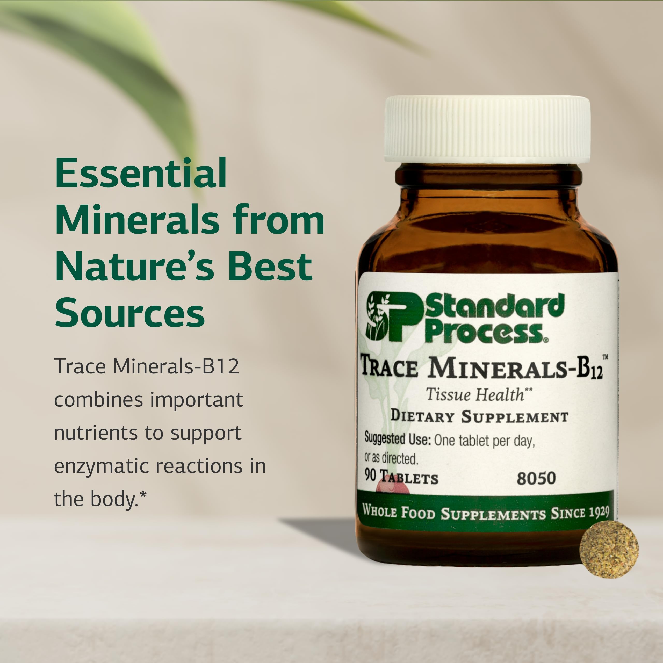 Standard Process Trace Minerals-B12 tablets pack displayed on a clean surface.