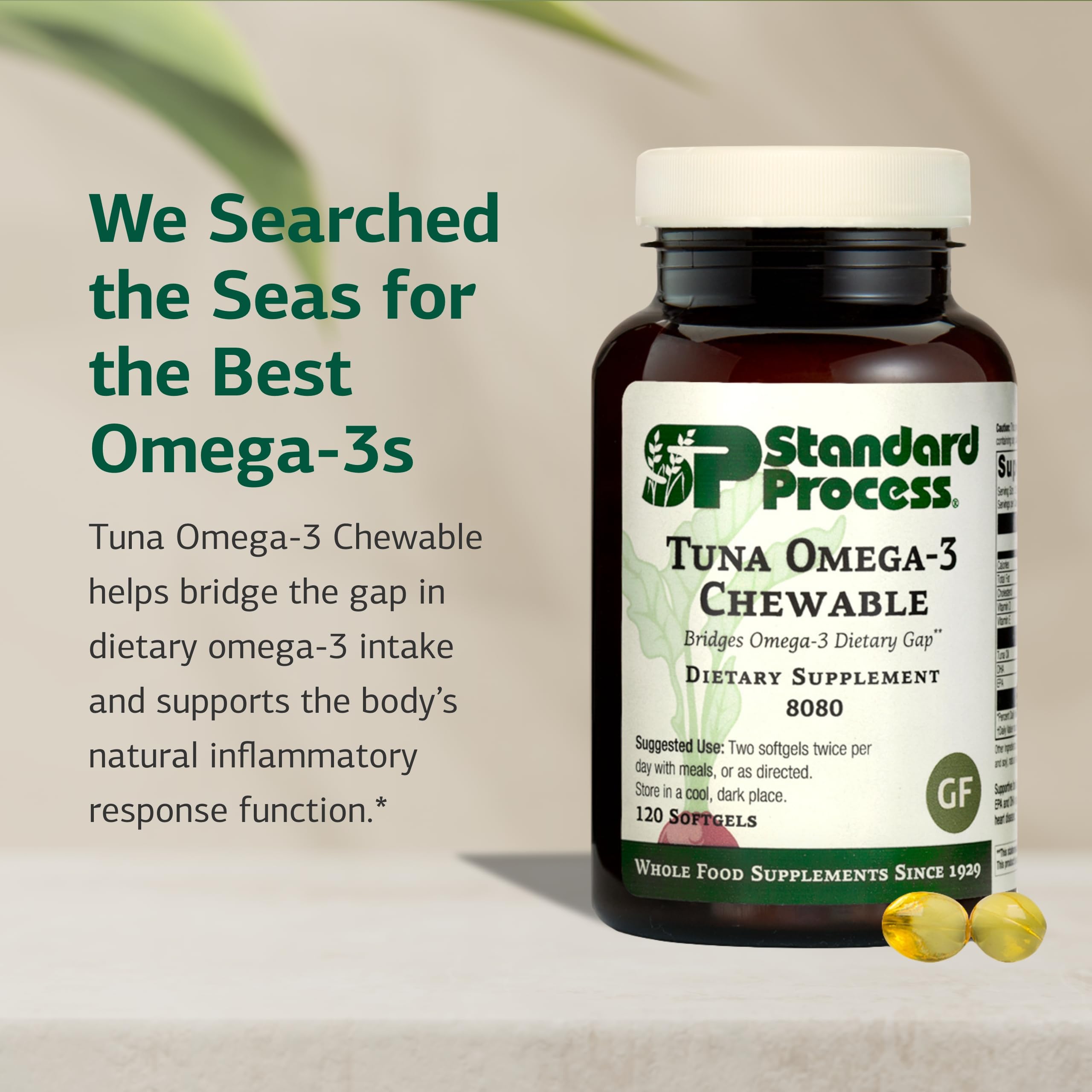 Standard Process Tuna Omega-3 label highlights DHA and antioxidants.