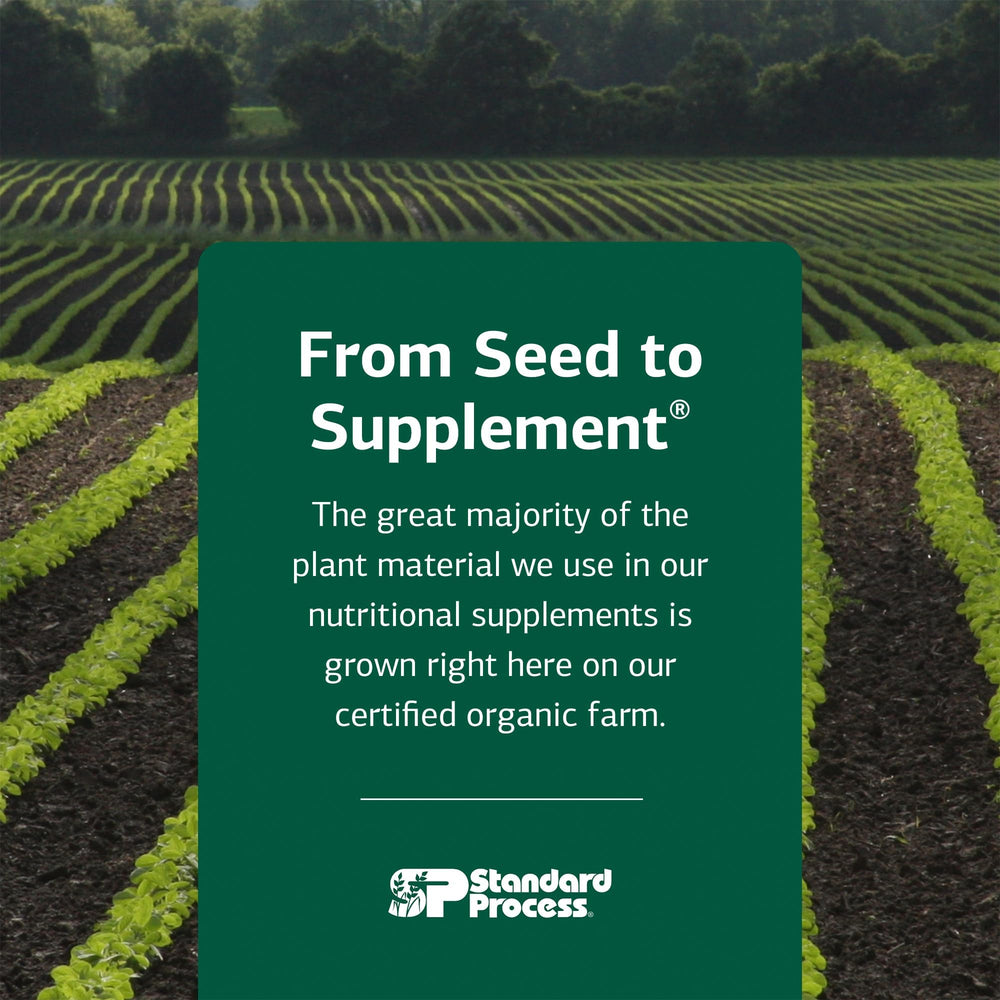 Standard Process Whole Food Folate with glass of water illustrates daily-use context.