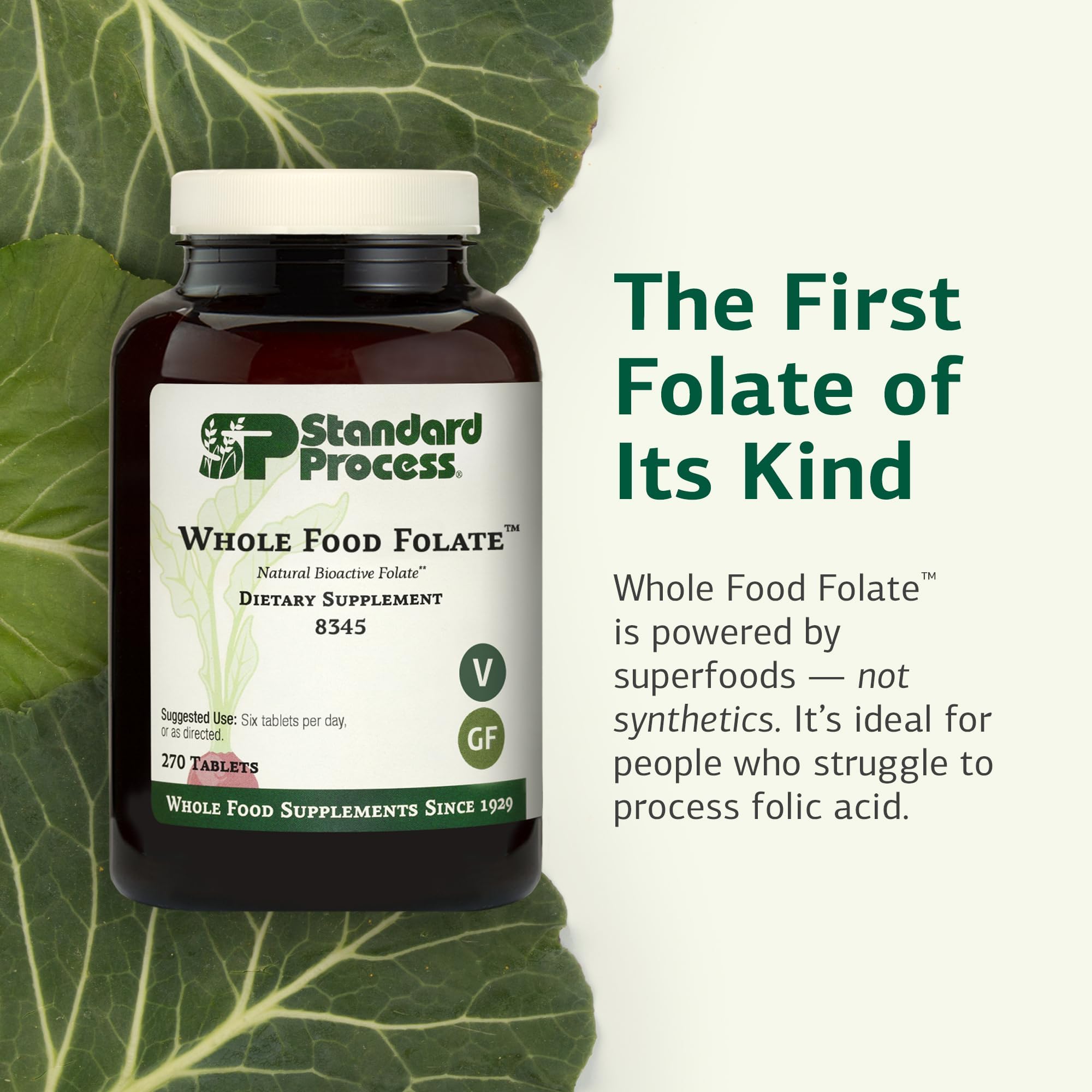 Standard Process Whole Food Folate green-ingredients blend visual emphasizes plant-based folate.