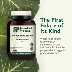 Standard Process Whole Food Folate green-ingredients blend visual emphasizes plant-based folate.