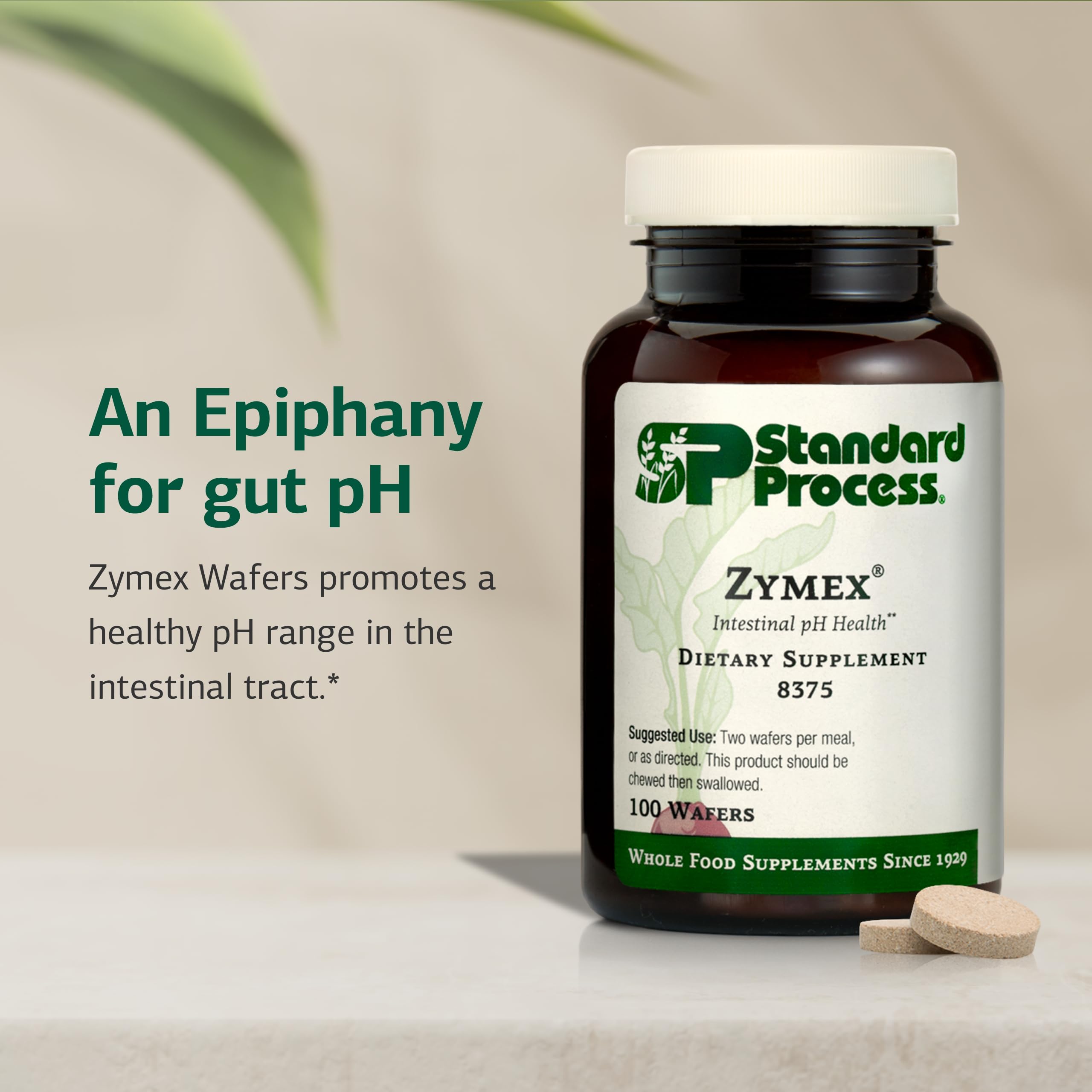 Standard Process Zymex Wafers foil pack showcases portable gut health on the go