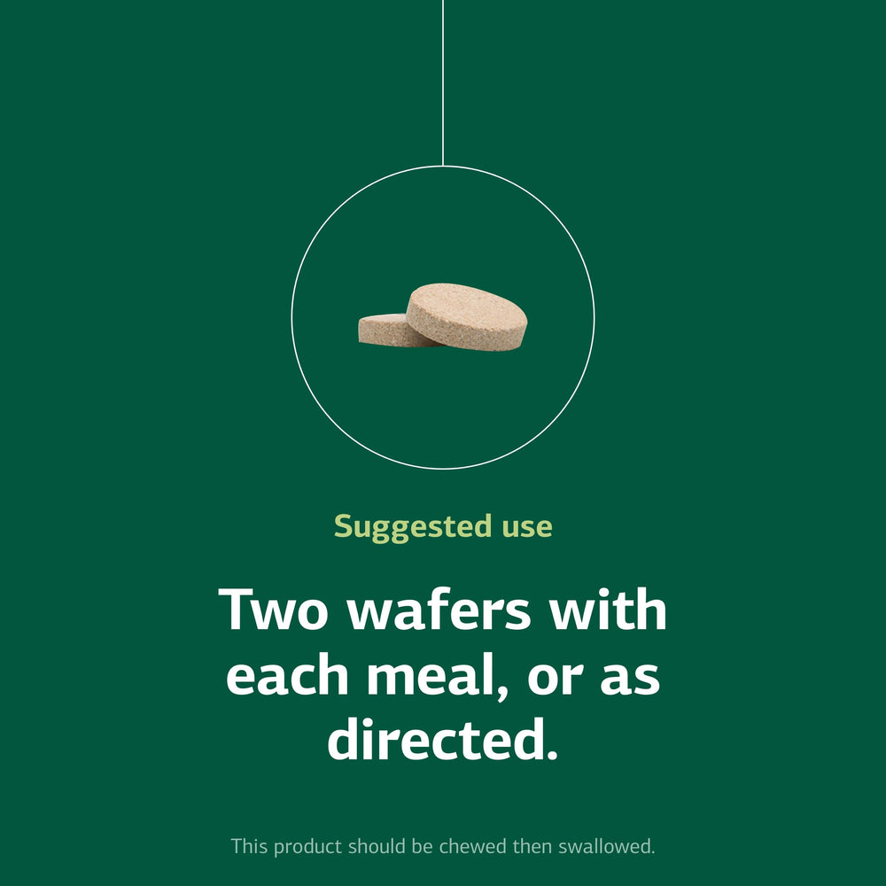 Standard Process Zymex Wafers serving ready image implies convenient, pill-free intake