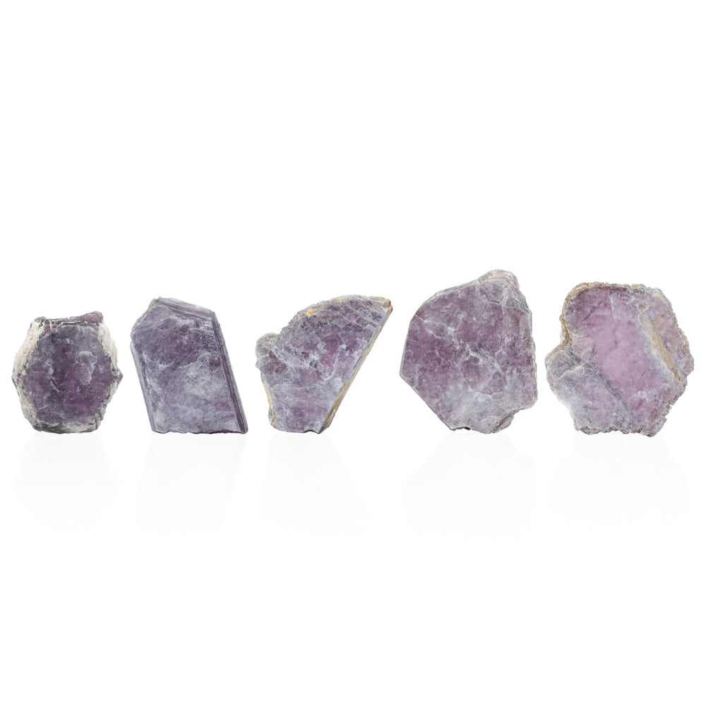 Starborn Lepidolite display piece shown in hand, illustrating compact, easy-to-display size.
