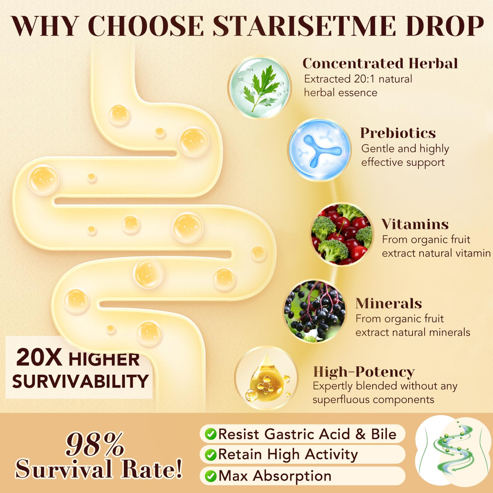Starisetme vitamins C, B6, and zinc sourced from plants for wellness.