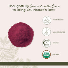 Starwest Beet Root Powder texture in a prep bowl ready to mix.