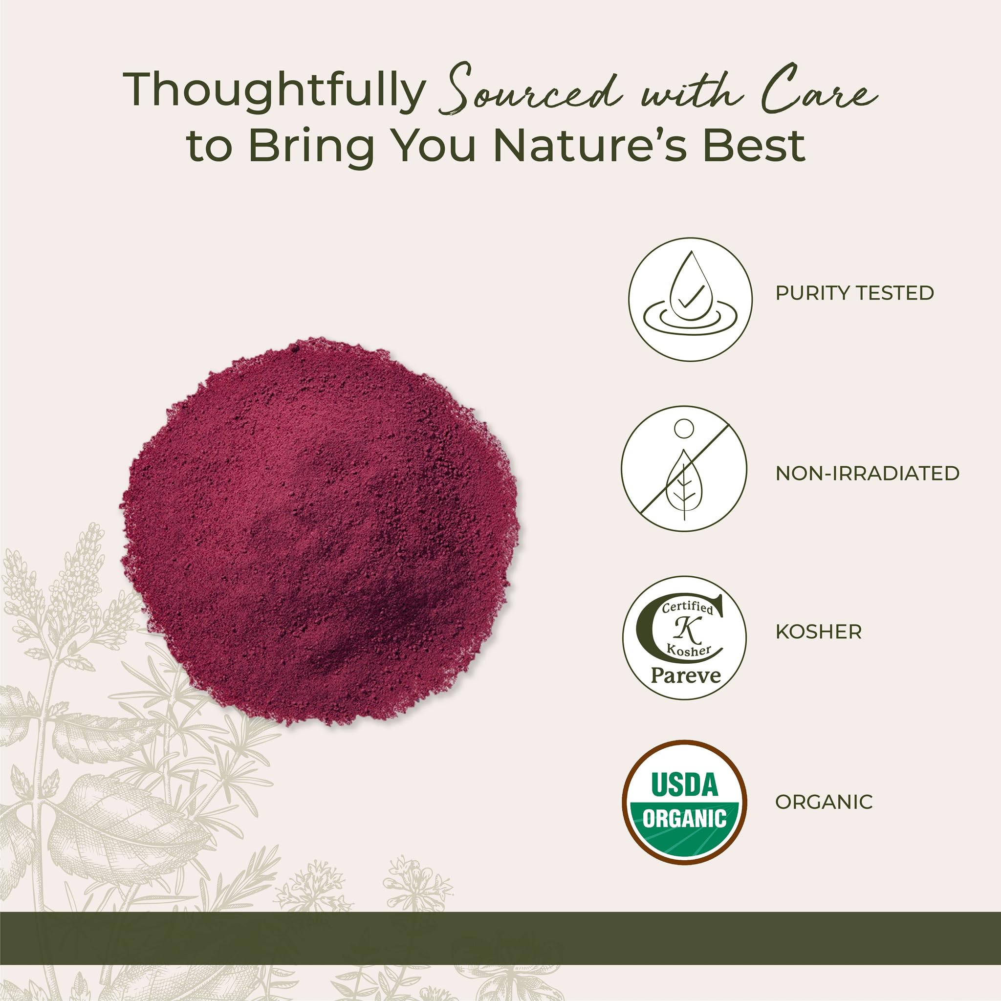 Starwest Beet Root Powder steeped as a tea infusion.