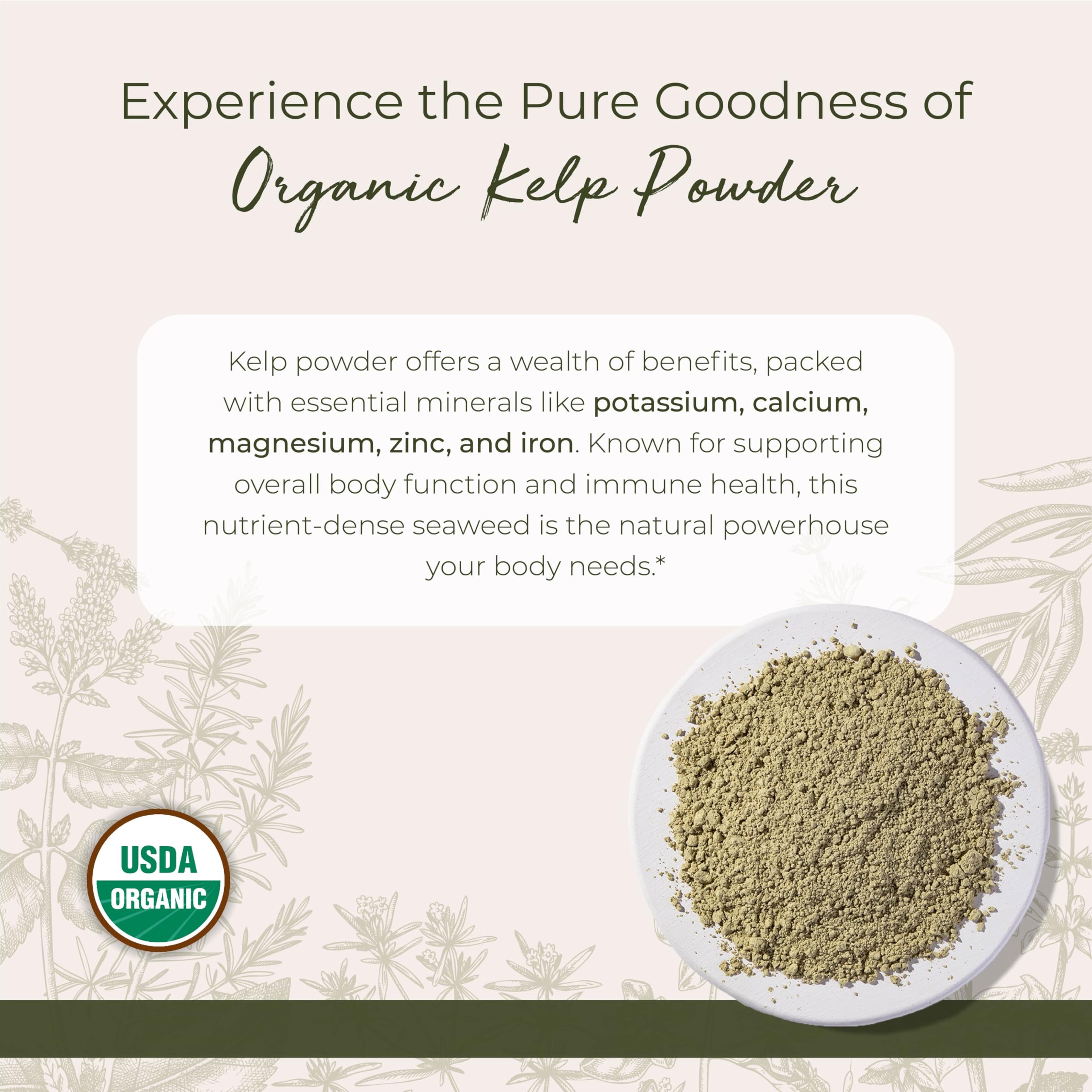 Starwest Botanicals kelp powder featuring Ascophyllum nodosum for mineral-rich cooking.