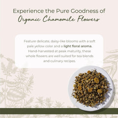 Starwest Botanicals chamomile flowers whole loose-leaf ideal for DIY tea blends.