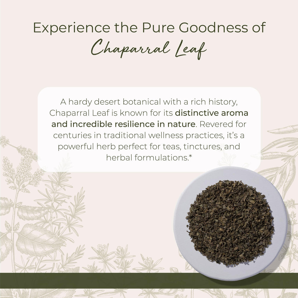 Starwest Botanicals chaparral leaf closeup shows textured leaves for relaxing tea rituals