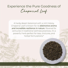 Starwest Botanicals chaparral leaf closeup shows textured leaves for relaxing tea rituals