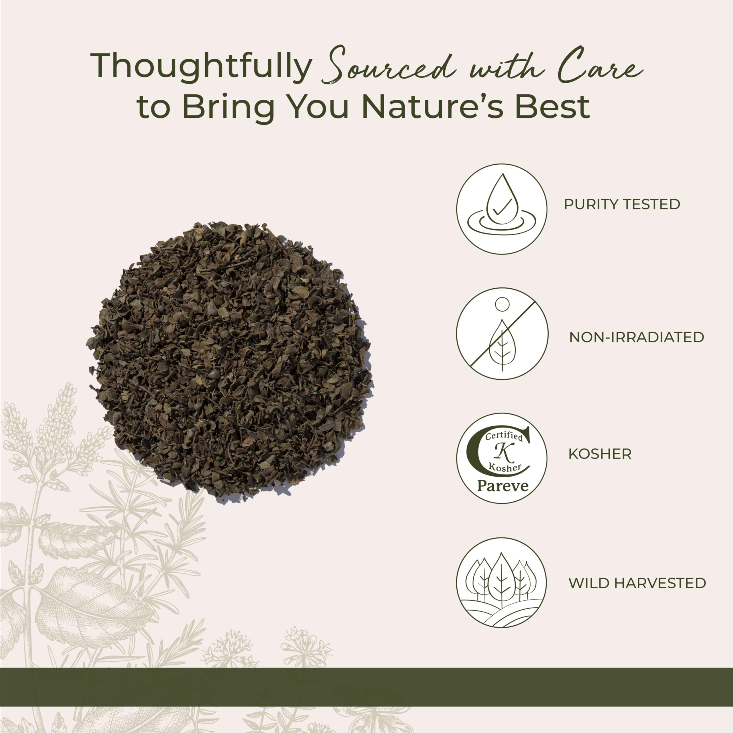 Starwest Botanicals chaparral leaf tea in cup ready to enjoy