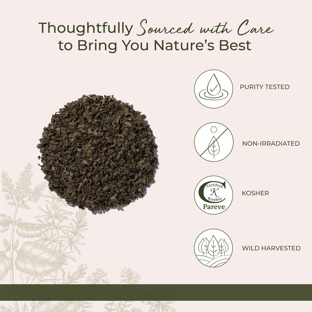 Starwest Botanicals chaparral leaf tea in cup ready to enjoy
