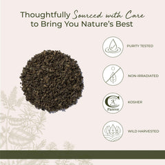 Starwest Botanicals chaparral leaf tea in cup ready to enjoy