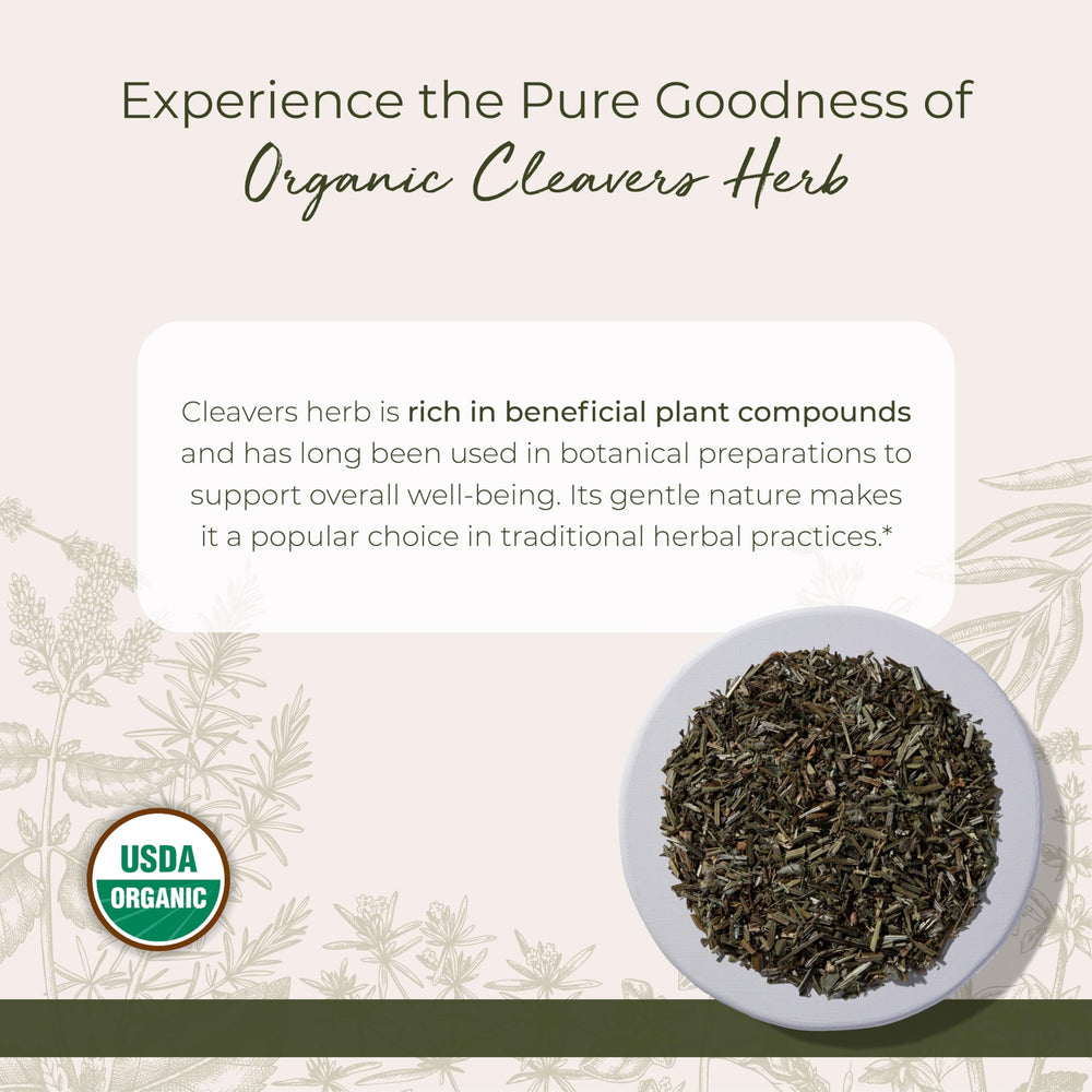 Starwest Botanicals Cleavers herb herbal tea infusion with a fresh green aroma.