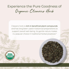 Starwest Botanicals Cleavers herb herbal tea infusion with a fresh green aroma.
