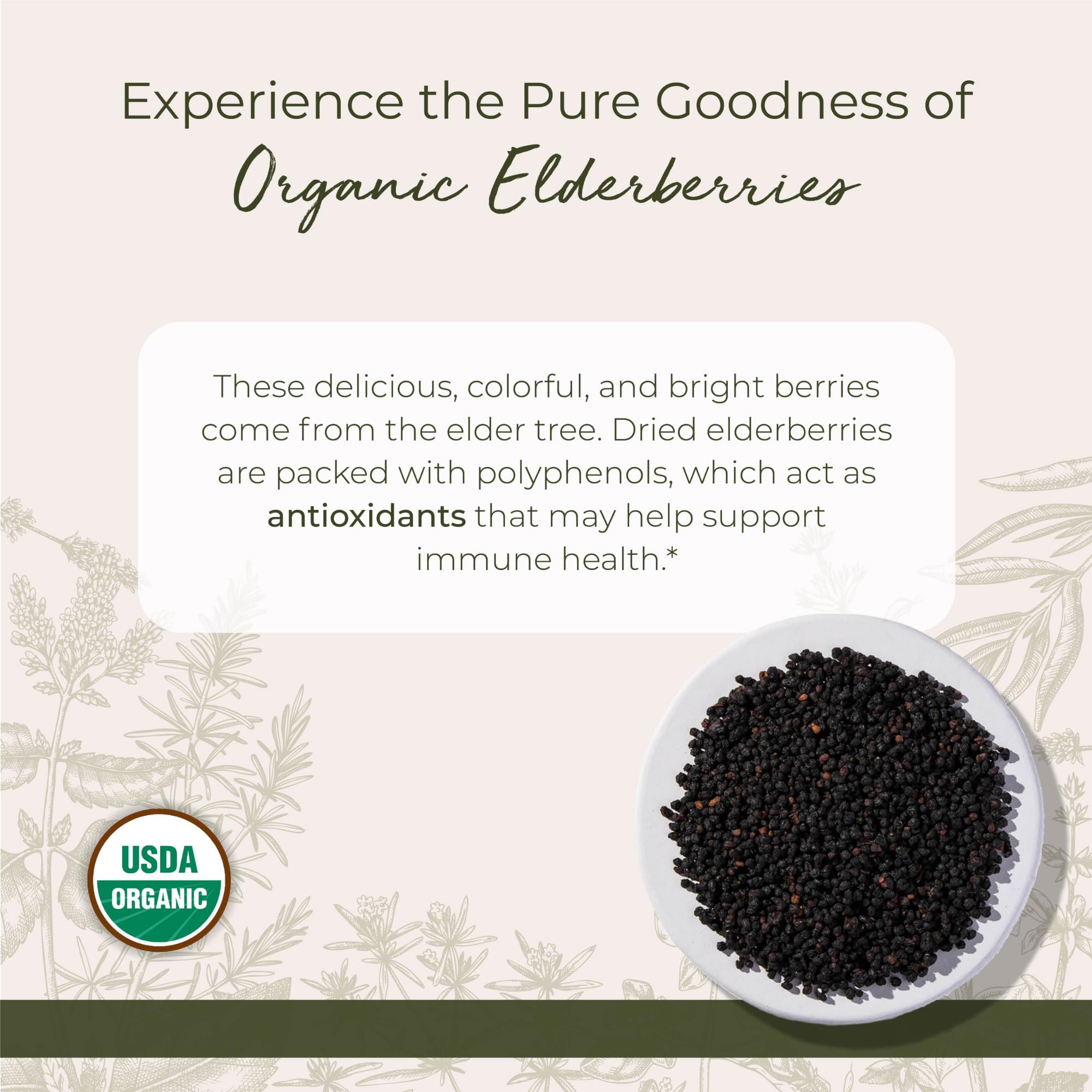 Starwest Botanicals dried elderberries in a jar, vibrant berry color