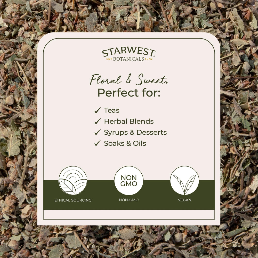 Starwest Botanicals Linden tea in cup brewing with subtle floral notes.