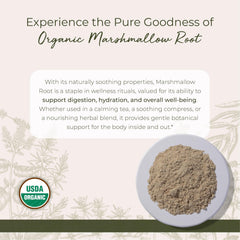 Starwest Botanicals marshmallow root powder with a scoop for infusions.