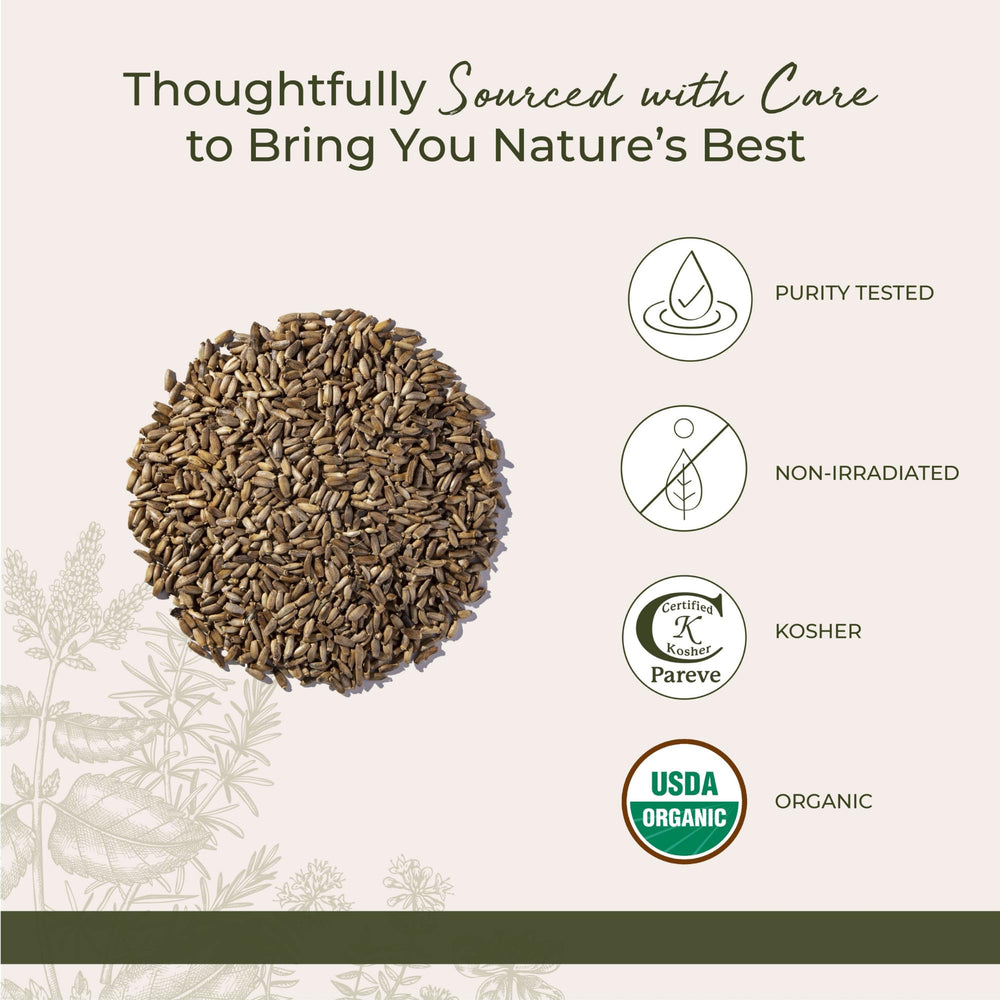 Starwest Botanicals Milk Thistle Seed tea-brew setup for a gentle cup.