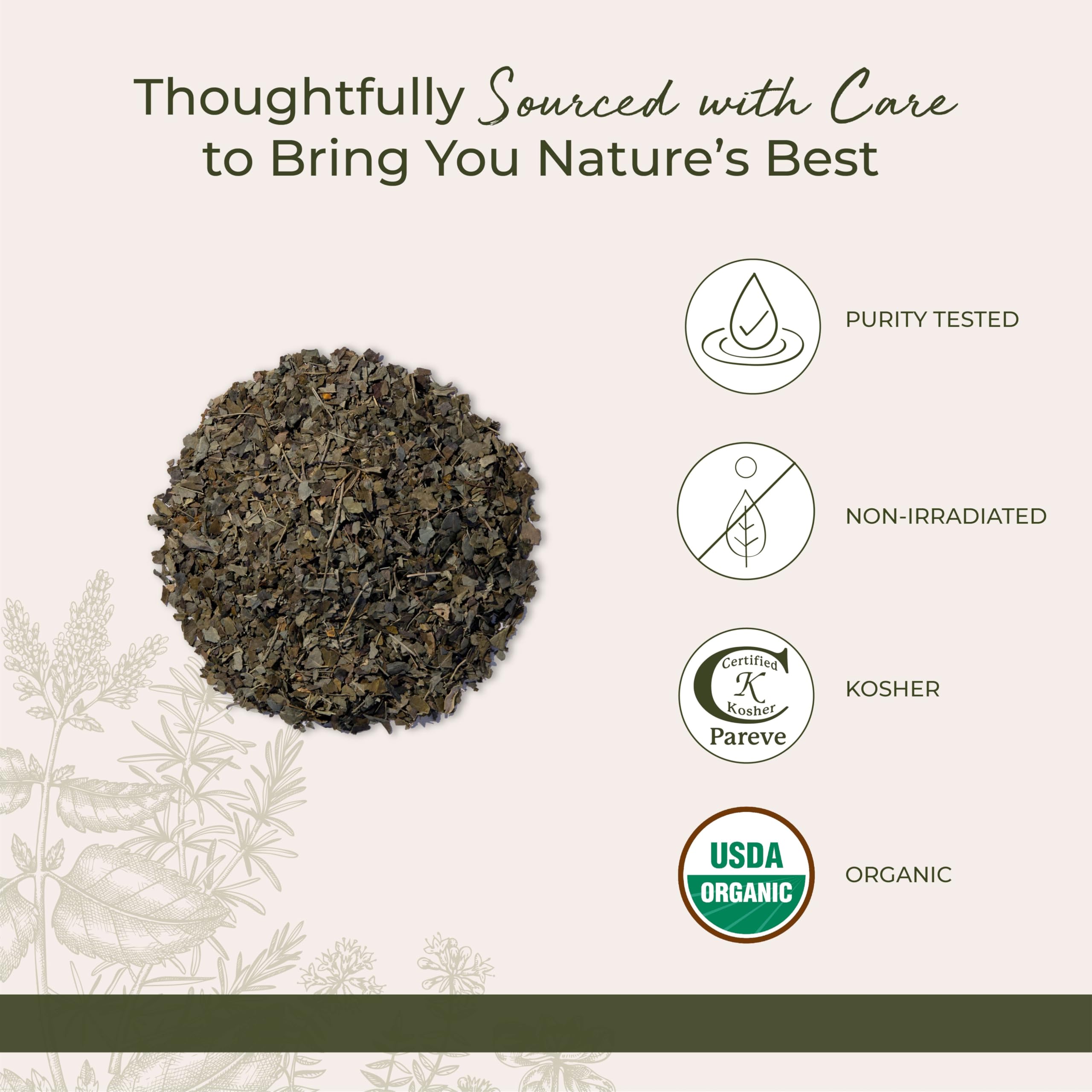 Starwest Botanicals Moringa leaf smoothie glass showing versatile superfood.
