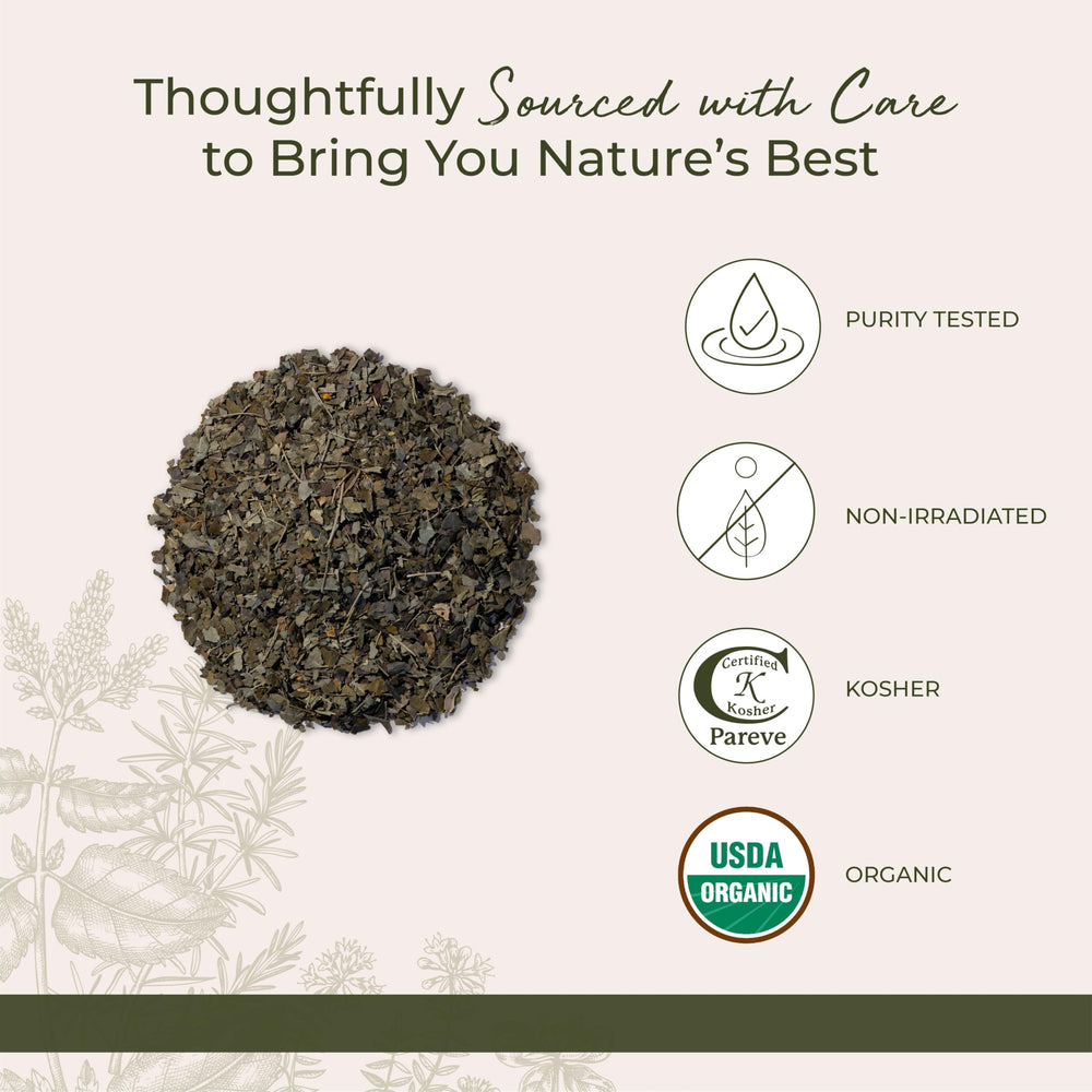 Starwest Botanicals Moringa leaf smoothie glass showing versatile superfood.