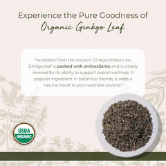 Starwest Botanicals organic ginkgo leaf bag image ready for culinary infusions and herbal recipes.