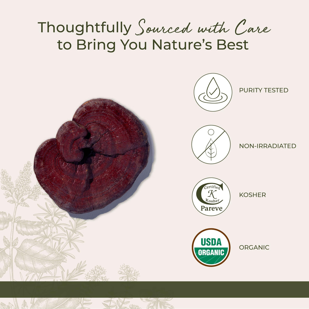 Starwest Red Reishi Mushrooms in soups and broths provide color and aroma.