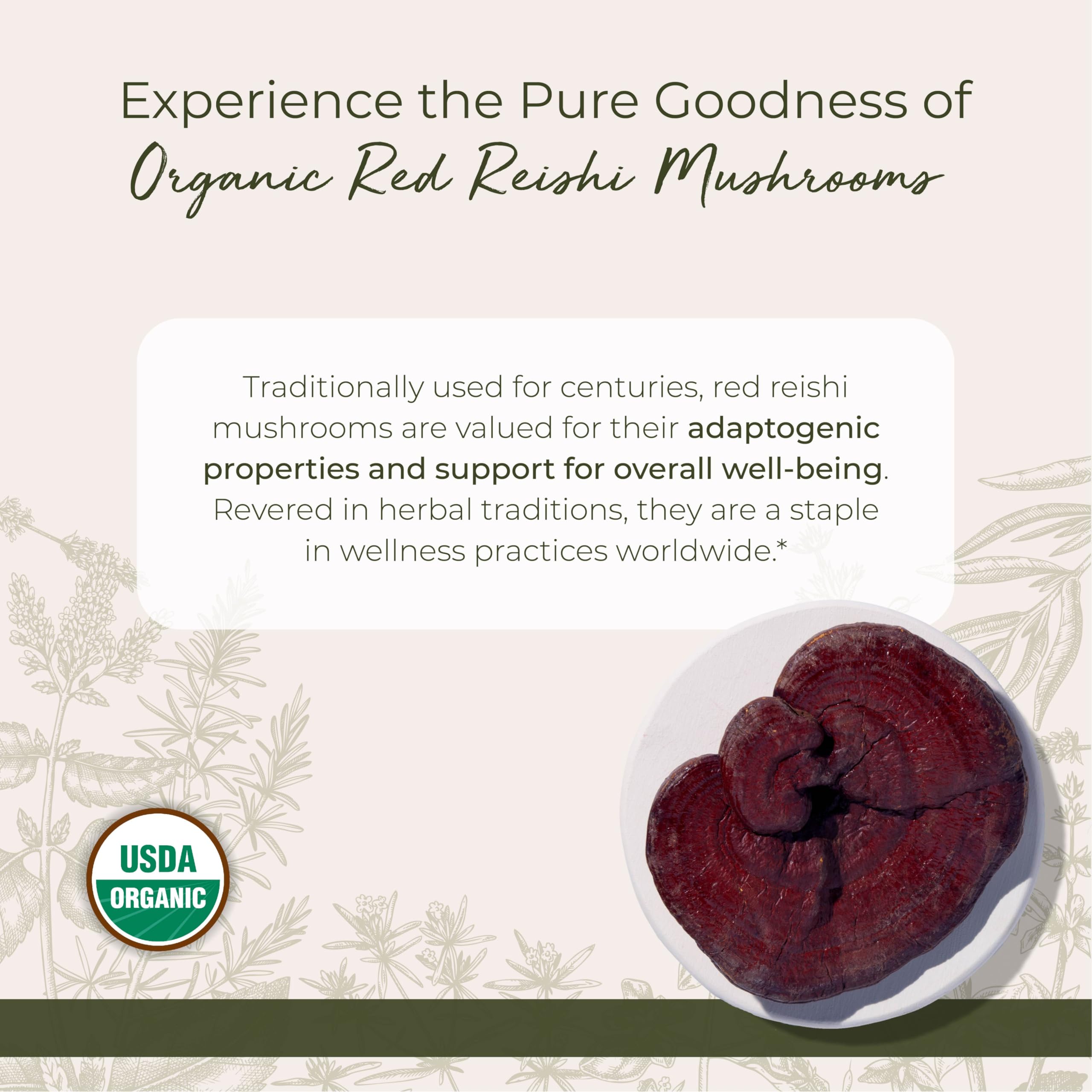 Starwest Botanicals Red Reishi Mushrooms dried for flavorful teas and simmered broths.