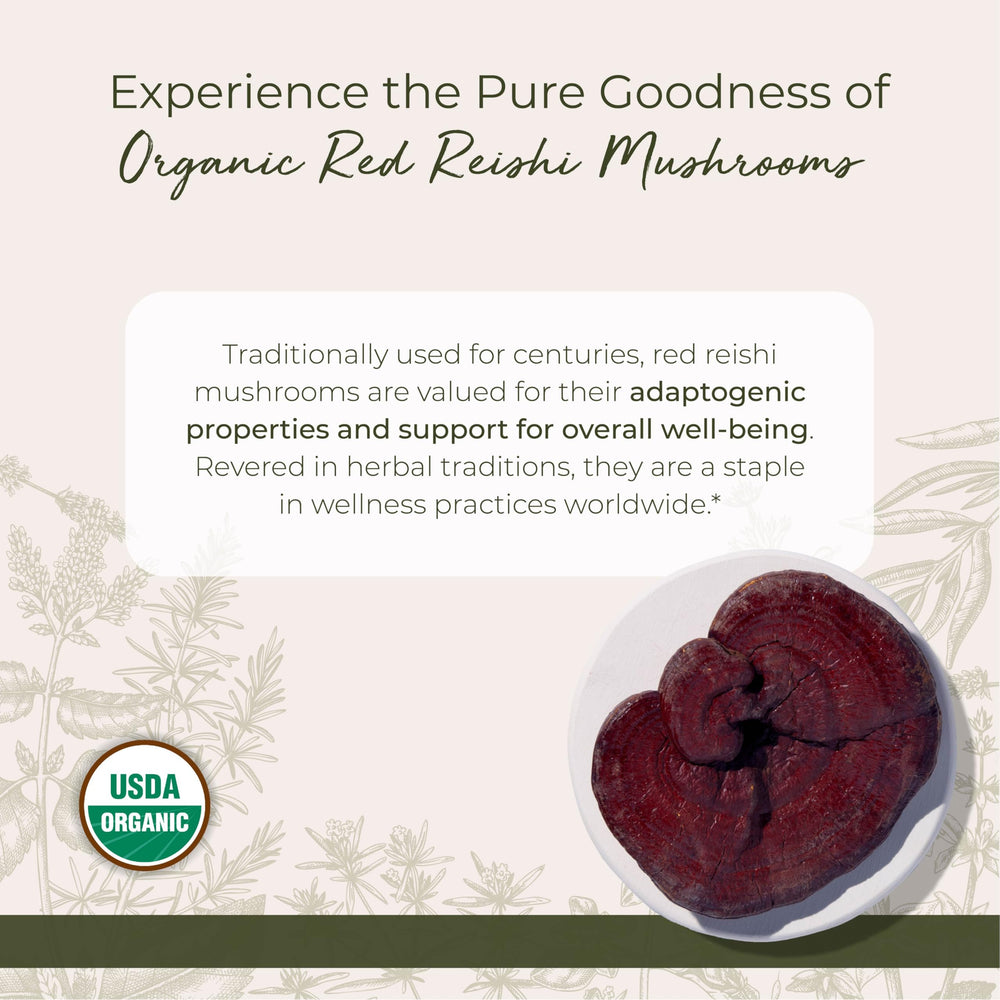 Starwest Botanicals Red Reishi Mushrooms dried for flavorful teas and simmered broths.