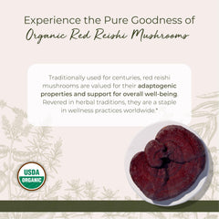 Starwest Botanicals Red Reishi Mushrooms dried for flavorful teas and simmered broths.