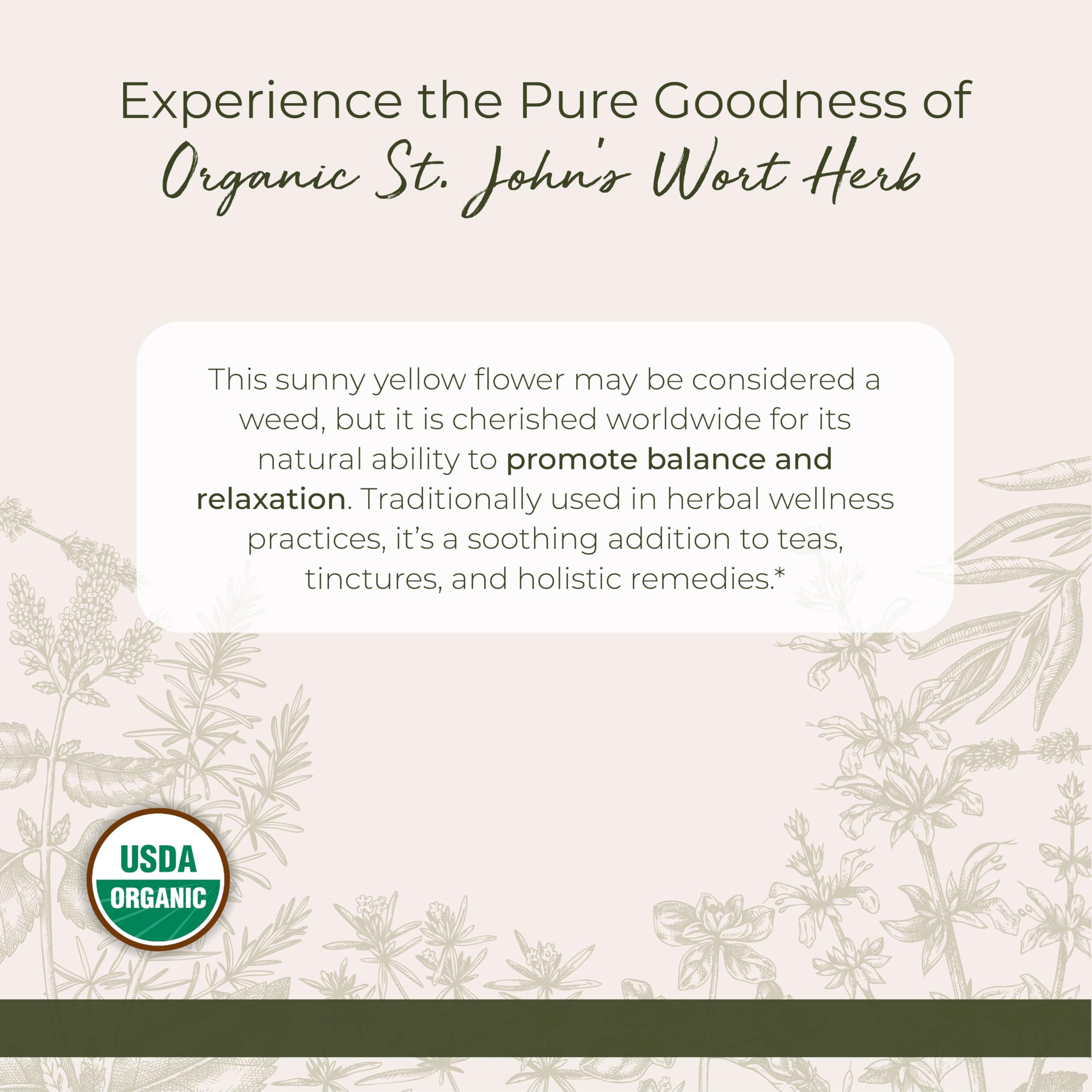 Closeup of St. John's Wort powder showing fine texture for infusions