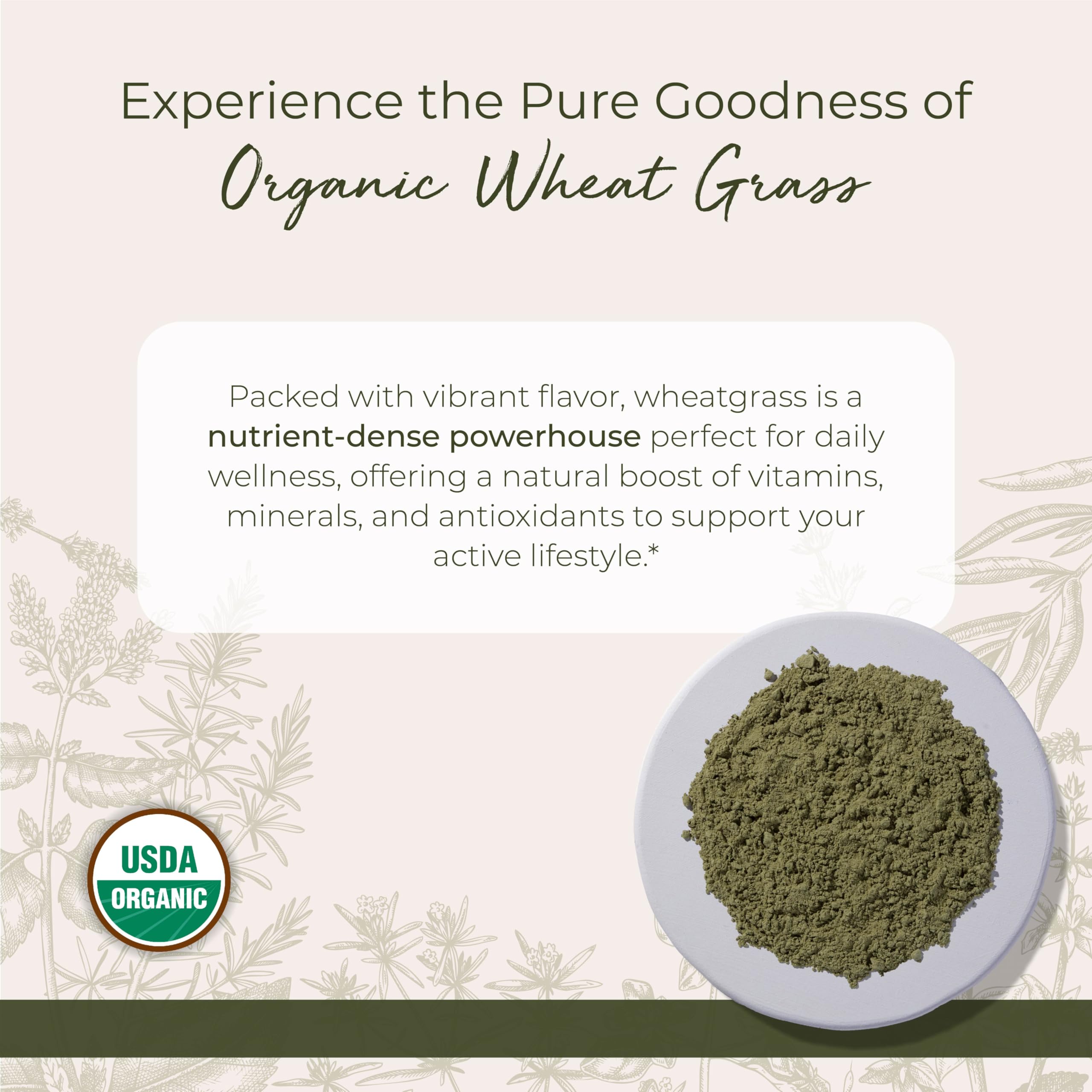 Wheatgrass powder texture close-up highlighting fresh green powder