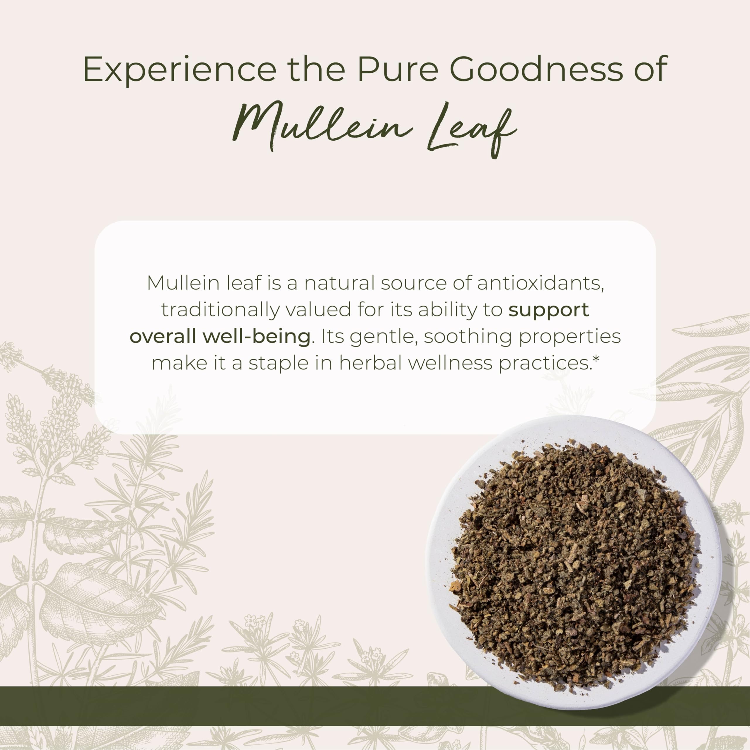 Closeup of mullein leaf cut and sifted by Starwest Botanicals for infusion