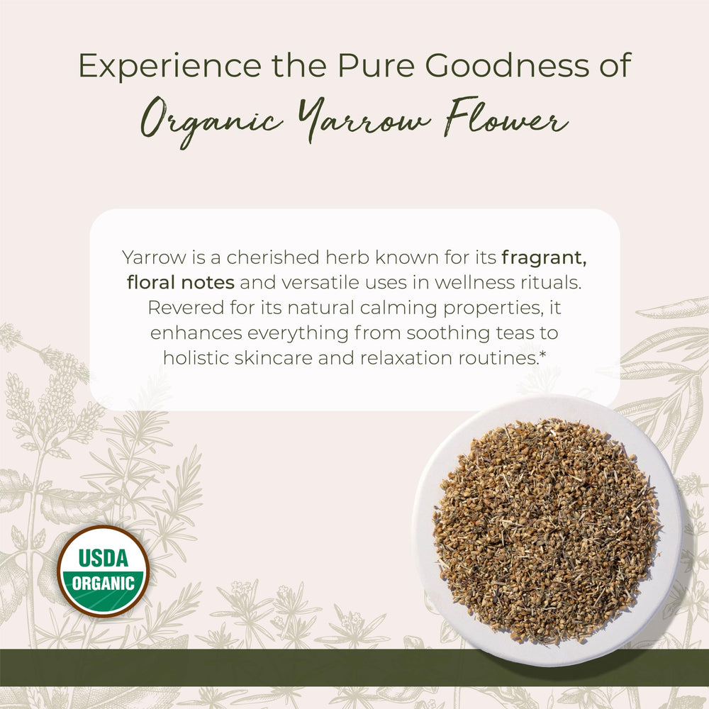 Starwest Botanicals yarrow flowers dried close-up showing delicate petals and aroma.