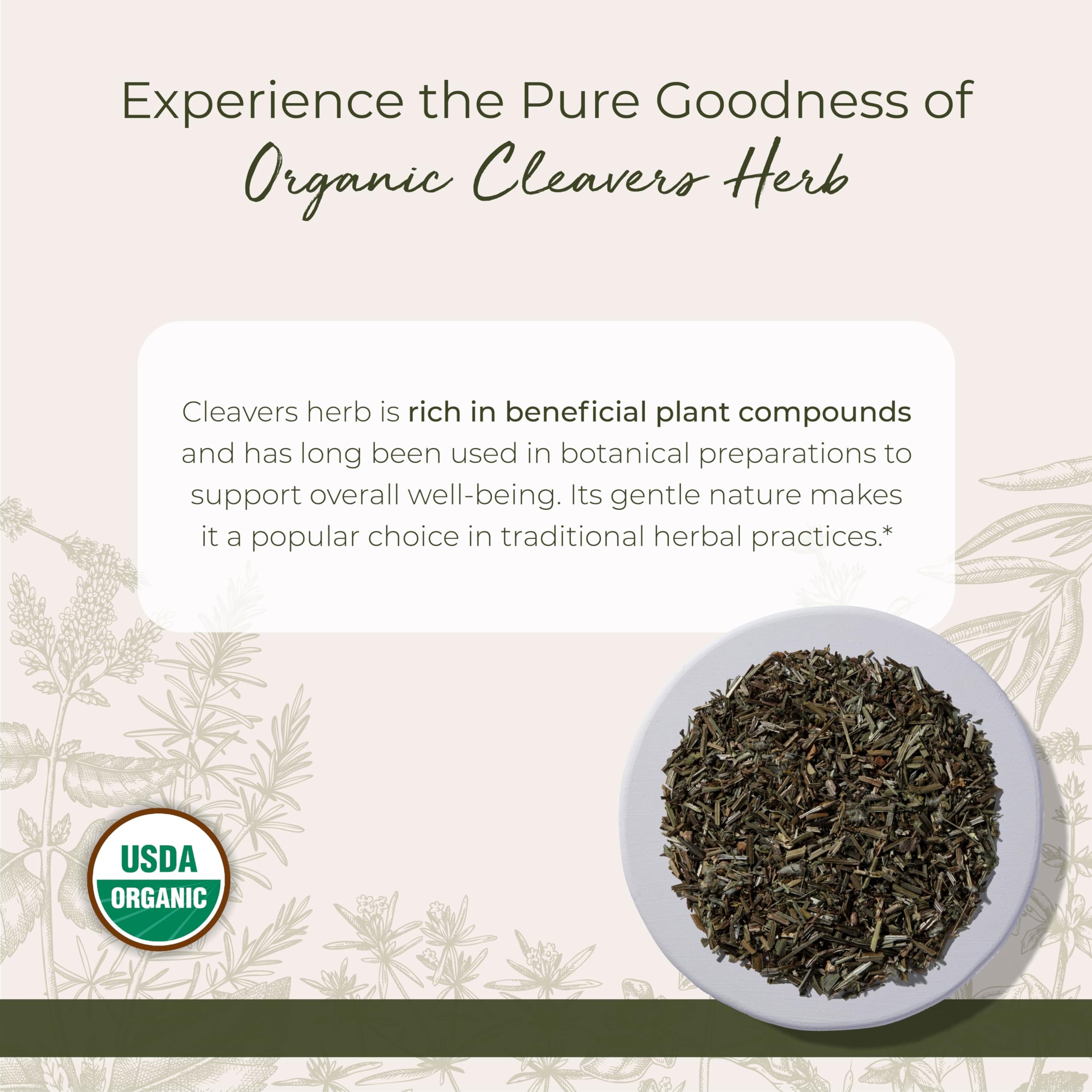 Starwest Cleavers herb green leaves closeup suitable for salads and seasonings